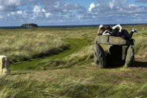 photo-2025-09-15T130526.765