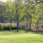 The Fairways at Twin Lakes