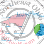 State of the NEOHgolf.com Website