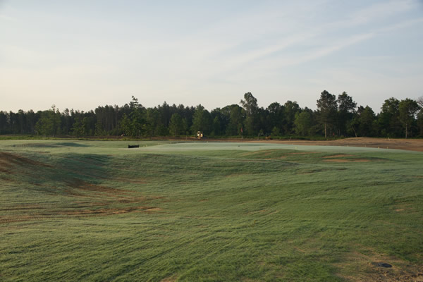 The Loop Hole 2 / 16