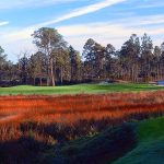 Spring Training Golf