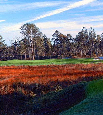 Spring Training Golf