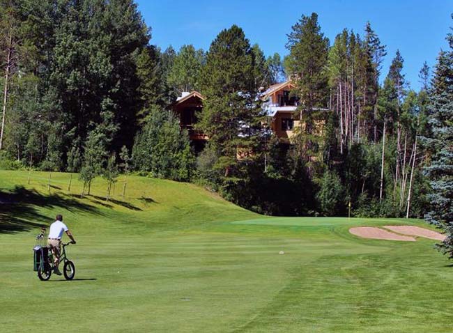 Golf Bike