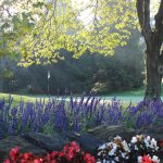 Yankee Run GC Brookfield OH