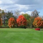 Fox Den GC 17th