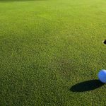 Golf green. Hole. Ball. Pick it up; that's good.