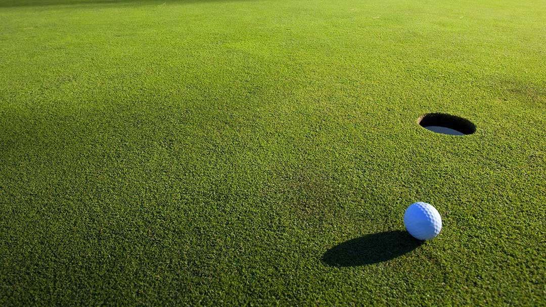 Golf green. Hole. Ball. Pick it up; that's good.