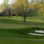 The Fairways at Twin Lakes Hole #8