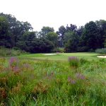 Rosemont Country Club Fairlawn Ohio #2 Green
