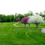 Fox Den Golf Course Stow Ohio