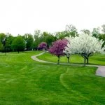 Fox Den Golf Course Stow Ohio