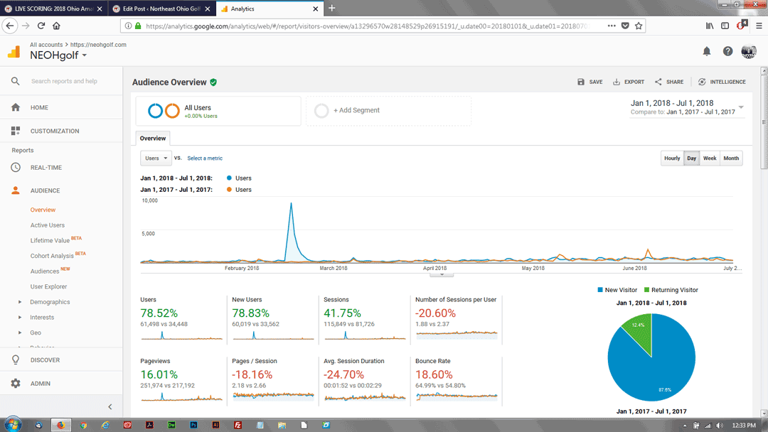 Q1-Q2 2018 Analytics Report for NEOHgolf.com