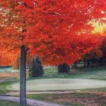 Fall at Wicked Woods Golf Club, Newbury OH
