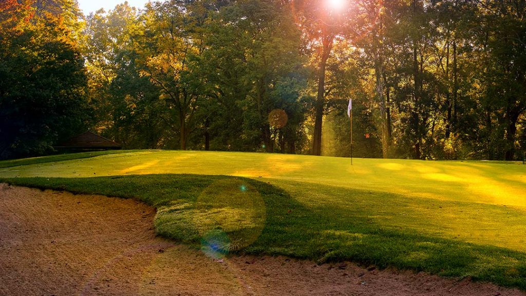 Elyria Country Club 8th green