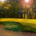 Elyria Country Club 8th green