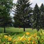 11th Green at Arrowhead Golf Club North Canton