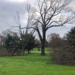 Storm Damage at Turkeyfoot on Weds, April 8, 2020
