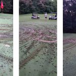 mud run green turfing damage