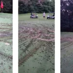 mud run green turfing damage