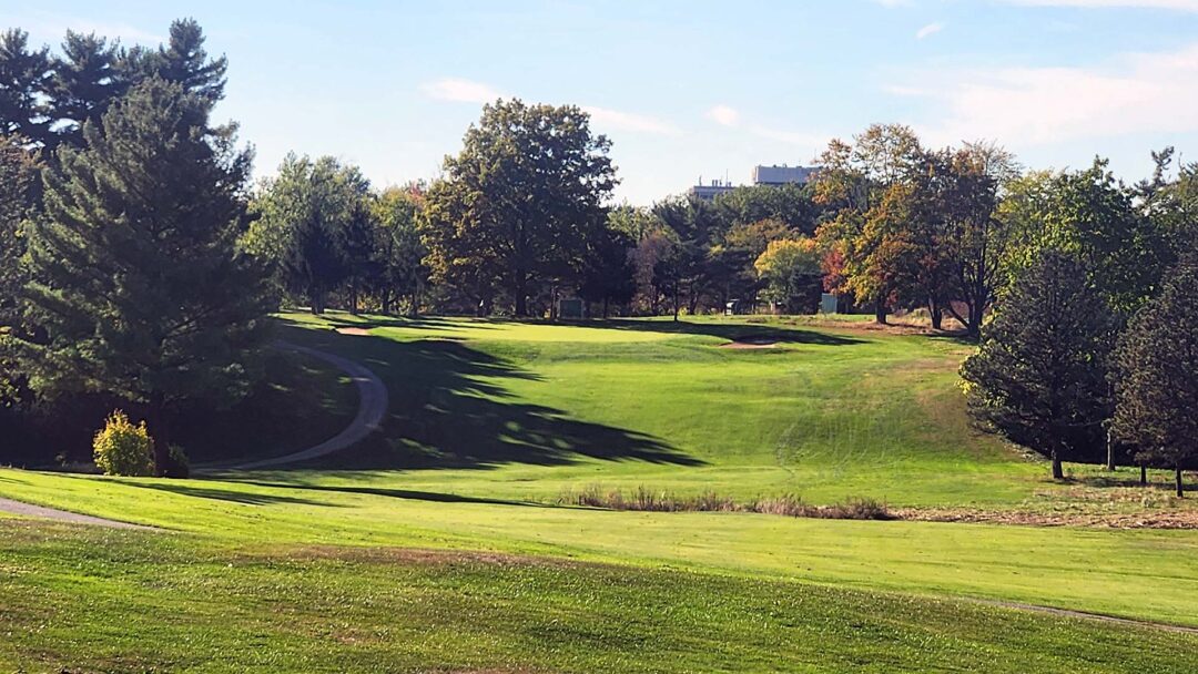 Highland Park Red #10