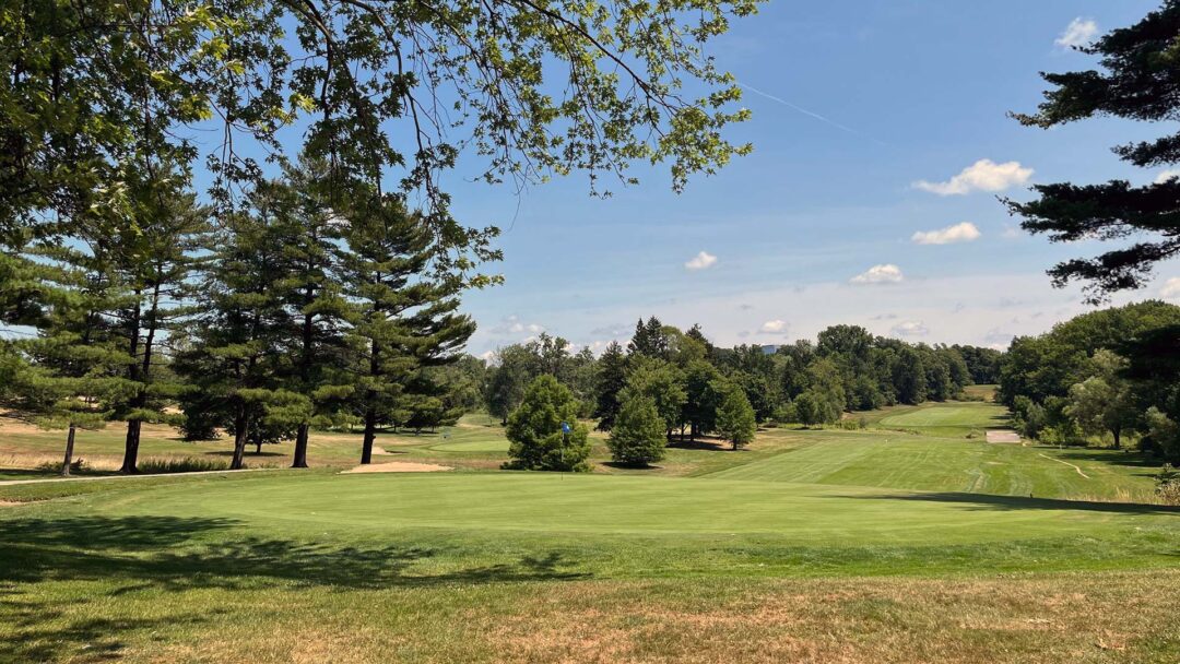 Highland Park Blue #7