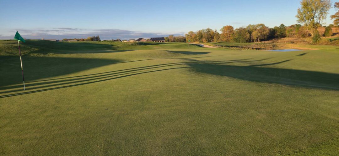 A double green at The Reversible